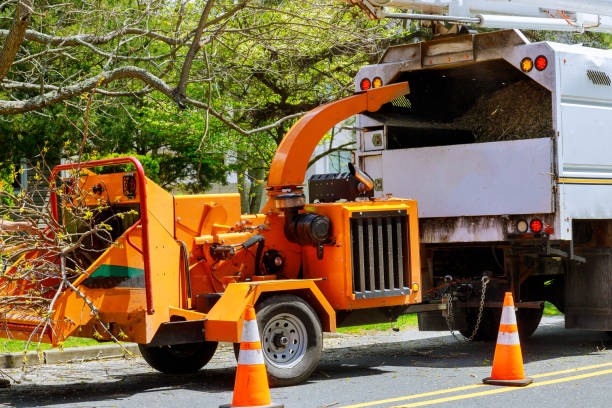 Mulching Services in Slatington, PA